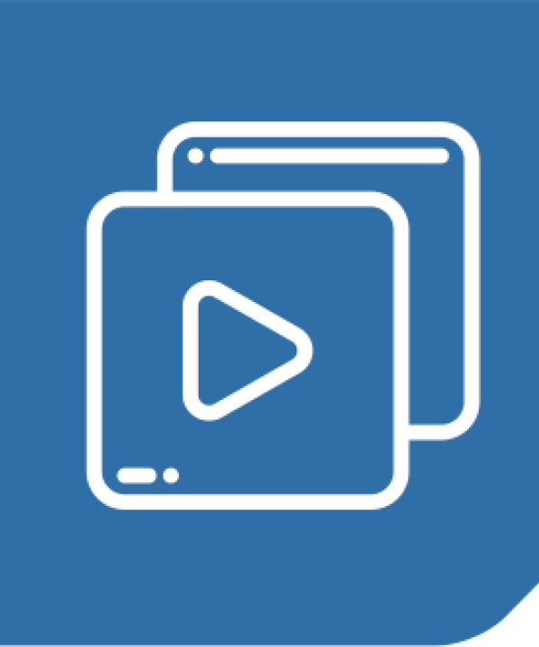 video image